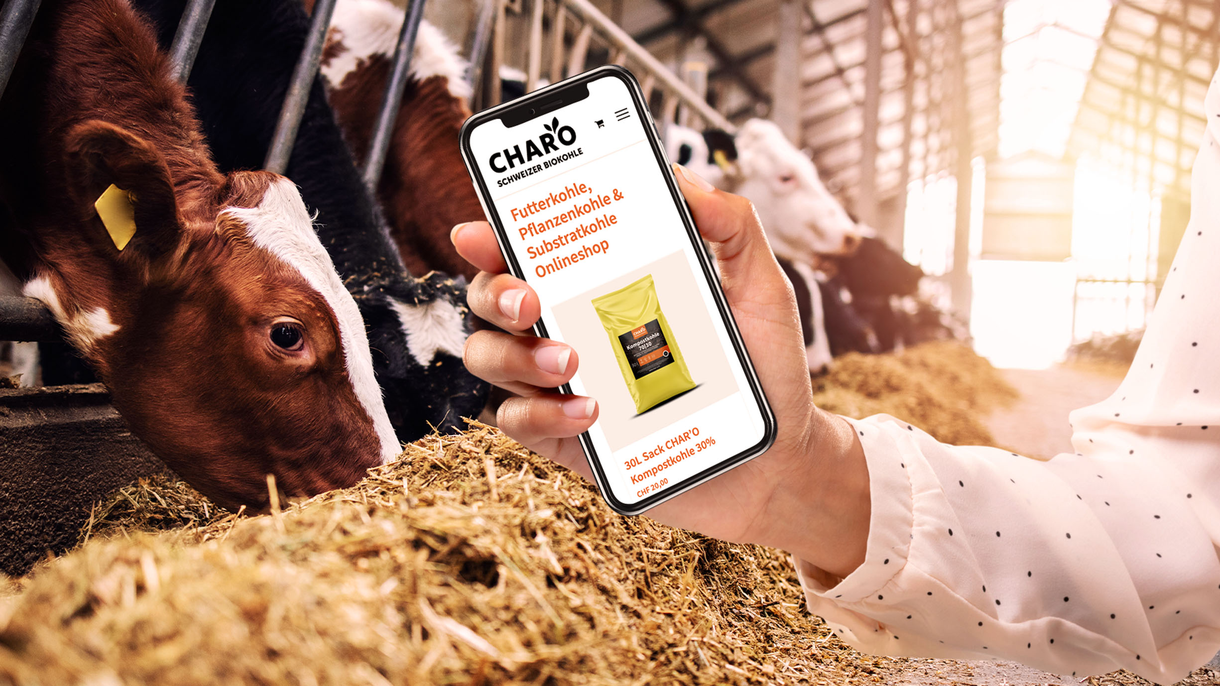 Char'o Website Auf Smartphone Mit Stall Im Hintergrund