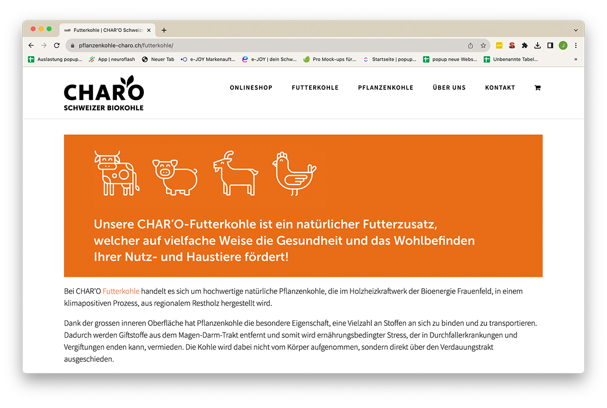 Screenshot Von Char'o Website Mit Icons